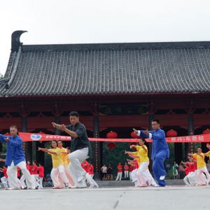 㶫ݸ̫2017ٳǧ̫ȭչƵ