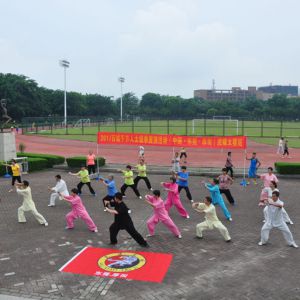 㶫ݸХ̫2017ٳǧ̫ȭչƵ