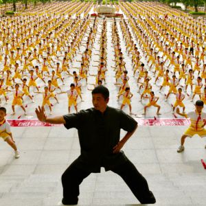 㶫ɽ¸ȫ2017ٳǧ̫ȭչƵ