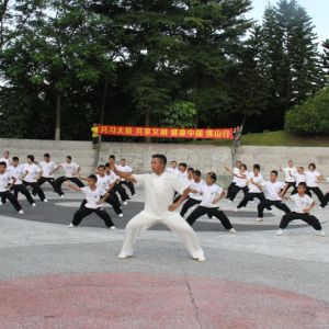 㶫ɽ½衪2017ٳǧ̫ȭչƵ