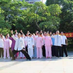 㶫ɽ˳̫2017ٳǧ̫ȭչƵ