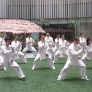 Ϻ̫վ2017ٳǧ̫ȭչƵ