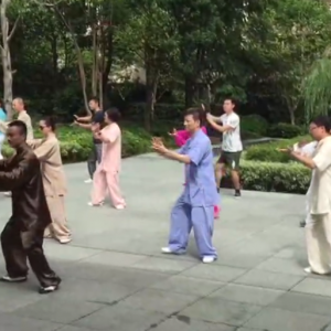 Ϻֶվ2017ٳǧ̫ȭչƵ