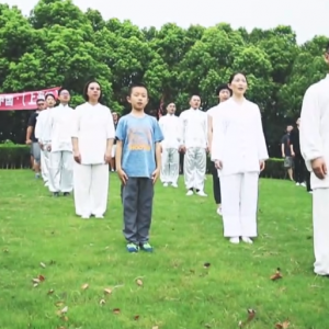 Ϻɽվ2017ٳǧ̫ȭչƵ