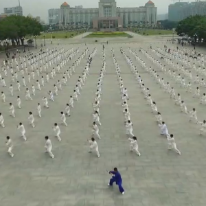 㶫ݳ־ǿ2017ٳǧ̫ȭչƵ