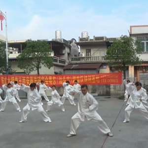 㶫ͷվ2017ٳǧ̫ȭչƵ