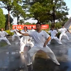 㶫վ2017ٳǧ̫ȭչƵ