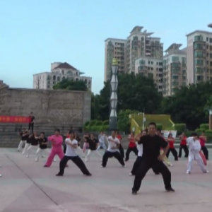 㶫ںվ2017ٳǧ̫ȭչƵ