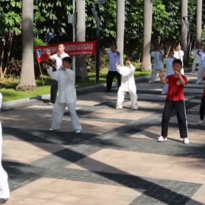 㶫ڱվ2017ٳǧ̫ȭչƵ