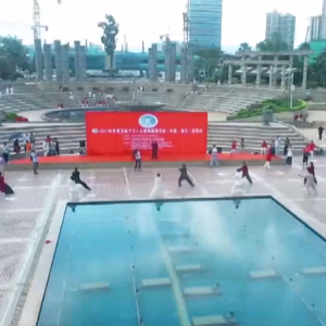 㶫վ2017ٳǧ̫ȭչƵ