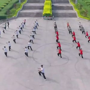 㶫Ƹվ2017ٳǧ̫ȭչƵ