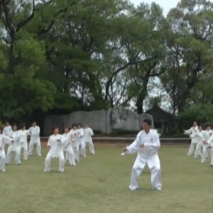 㶫⴨վ2017ٳǧ̫ȭչƵ