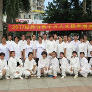 Ϫվ2017ٳǧ̫ȭչƵ