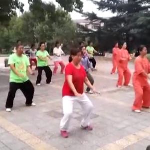 ӱԪɽ2017ٳǧ̫ȭչƵ