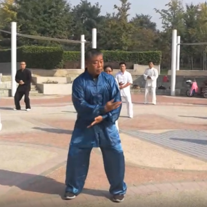 ӱ˱顪2017ٳǧ̫ȭչƵ