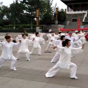 ӱǨվ2017ٳǧ̫ȭչƵ