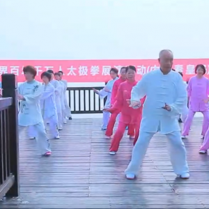 ӱػʵվ2017ٳǧ̫ȭչƵ