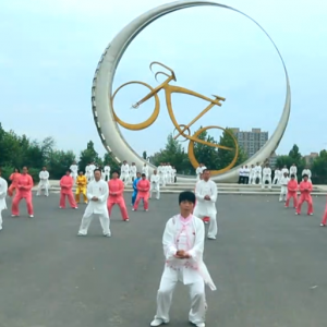 ӱ̨վ2017ٳǧ̫ȭչƵ