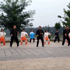 ϻվ2017ٳǧ̫ȭչƵ