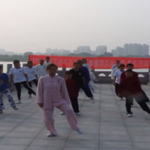 Ͽվ2017ٳǧ̫ȭչƵ