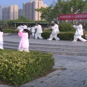 ܿڷվ2017ٳǧ̫ȭչƵ