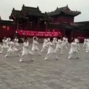 ܿڻվ2017ٳǧ̫ȭչƵ