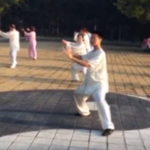 ܿվ2017ٳǧ̫ȭչƵ