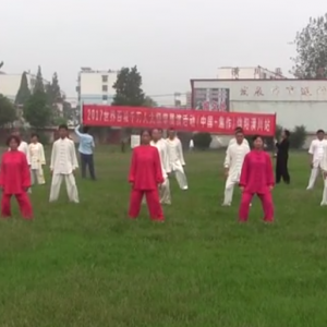 괨վ2017ٳǧ̫ȭչƵ