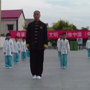 ϳԫվ2017ٳǧ̫ȭչƵ