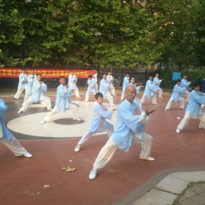 ³ɽվ2017ٳǧ̫ȭչƵ