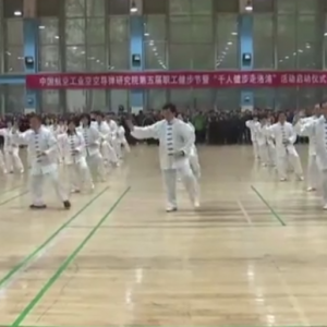 ֣졪2017ٳǧ̫ȭչƵ