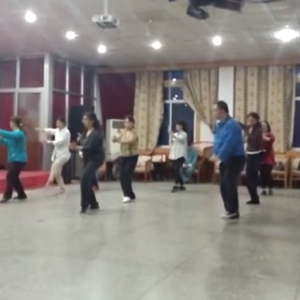 չҵ2017ٳǧ̫ȭչƵ