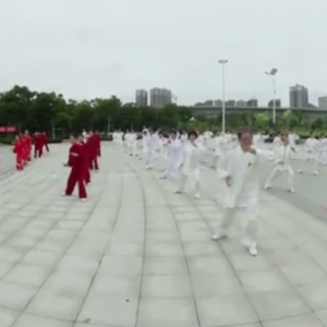 Тվ2017ٳǧ̫ȭչƵ