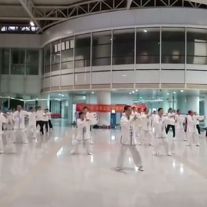 ϳɳÿ2017ٳǧ̫ȭչƵ