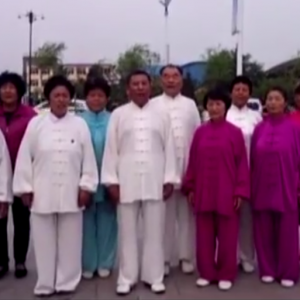 ÷ӿվ2017ٳǧ̫ȭչƵ