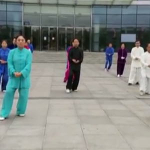 ԭվ2017ٳǧ̫ȭչƵ