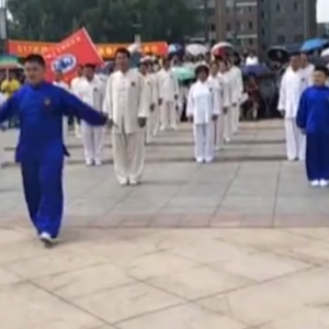 ͨվ2017ٳǧ̫ȭչƵ