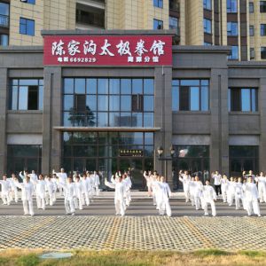 ӥ̶վ2017ٳǧ̫ȭչƵ