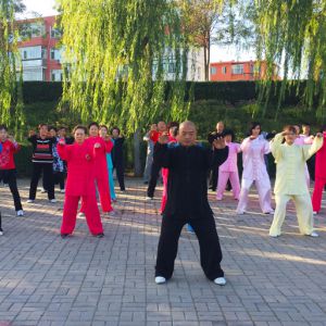 ɹųް2017ٳǧ̫ȭչƵ