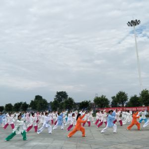 Ĵվ2017ٳǧ̫ȭչƵ