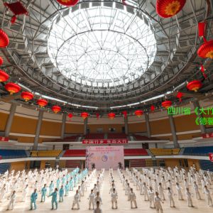 Ĵվ2017ٳǧ̫ȭչƵ