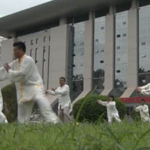 ߼Ժ2017ٳǧ̫ȭչƵ