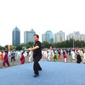 ֣վ2017ٳǧ̫ȭչƵ