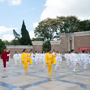 Ϫվ2017ٳǧ̫ȭչƵ