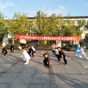 㽭վ2017ٳǧ̫ȭչƵ