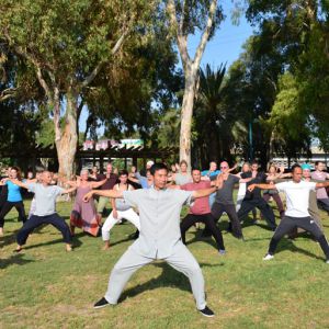 ɫг±̫Ժ2017ٳǧ̫ȭչƵ