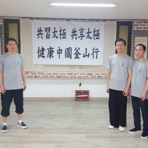 ɽվ2017ٳǧ̫ȭչƵ