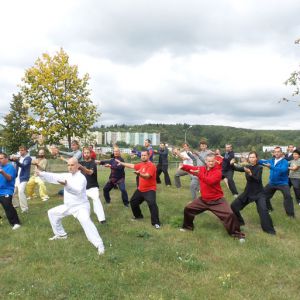 ݿ˳±̫Ժ2017ٳǧ̫ȭչƵ