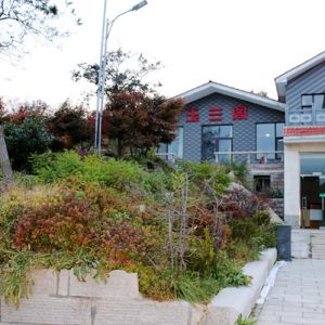 ��������Ծ������ɽ ֻΪ�л�̫��ȭ