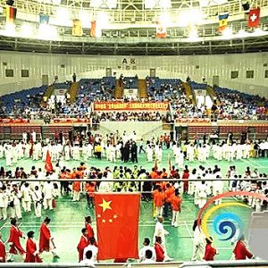 2017�ڶ������ǹ��������Ļ��ڽ�������¡�ؾ���